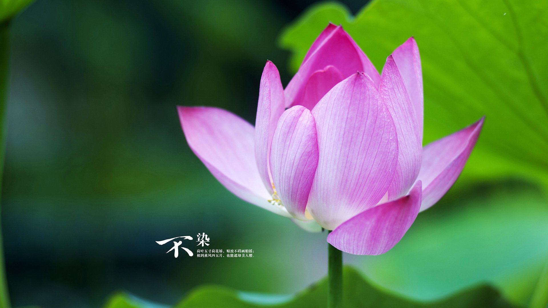 _海底青少年潜水赛：探索深海的梦想起航_，潜水海底世界视频